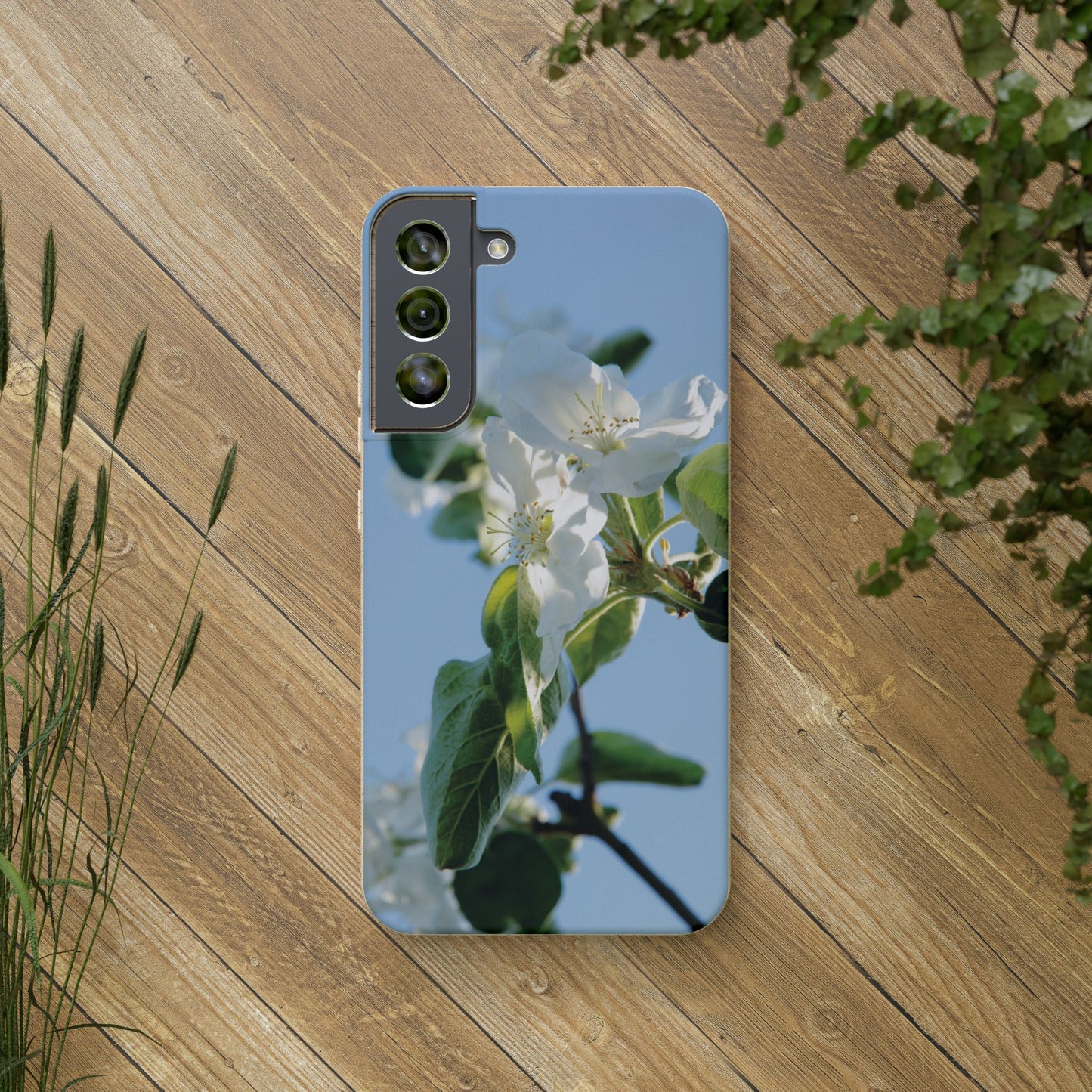 Eco-Friendly Biodegradable Phone Case ‚Apfelblüte‘/,Apple Blossom’ – Photo Design by Sarah Buhl – Magsafe® Compatible