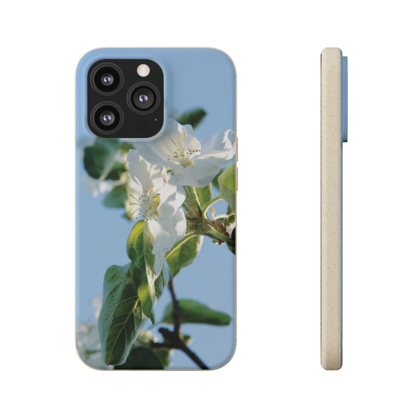 Eco-Friendly Biodegradable Phone Case ‚Apfelblüte‘/,Apple Blossom’ – Photo Design by Sarah Buhl – Magsafe® Compatible