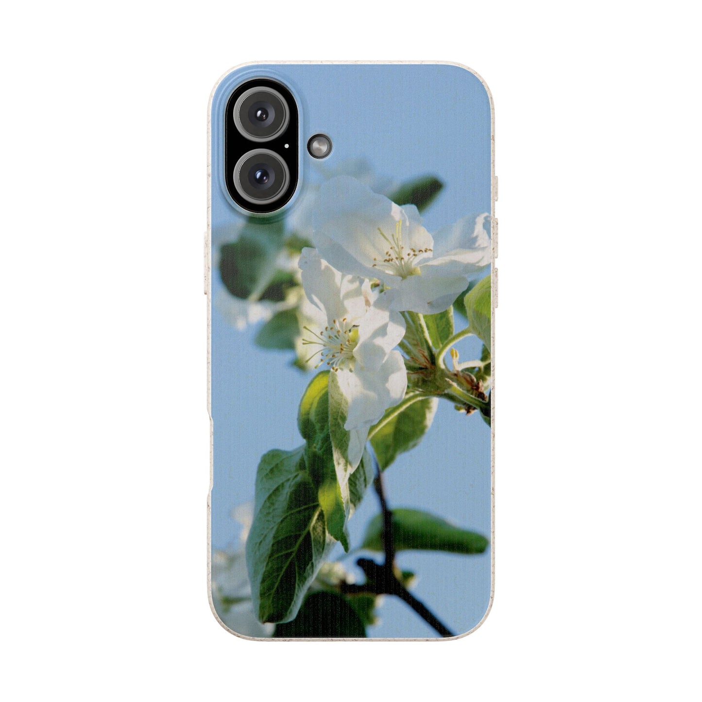 Eco-Friendly Biodegradable Phone Case ‚Apfelblüte‘/,Apple Blossom’ – Photo Design by Sarah Buhl – Magsafe® Compatible
